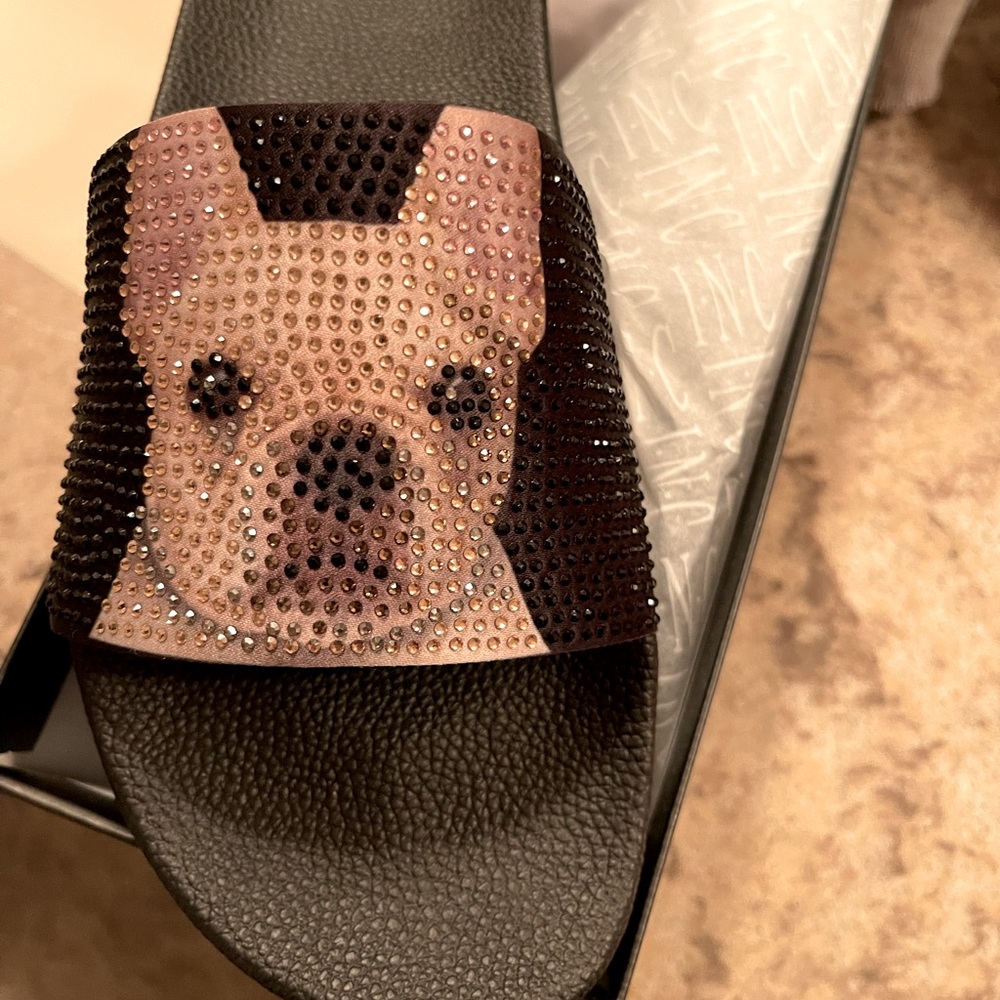 French Bull Dog slides